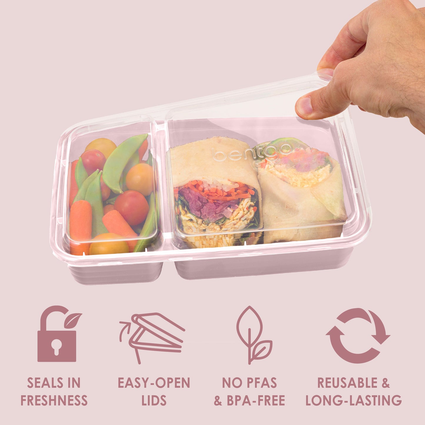 bentgo-prep-2-compartment-meal-prep-containers-20-piece-e2 BGPRP2-PK_4_34519f91-11cf-4f8b-84a9-37309d7b7c2a.jpg