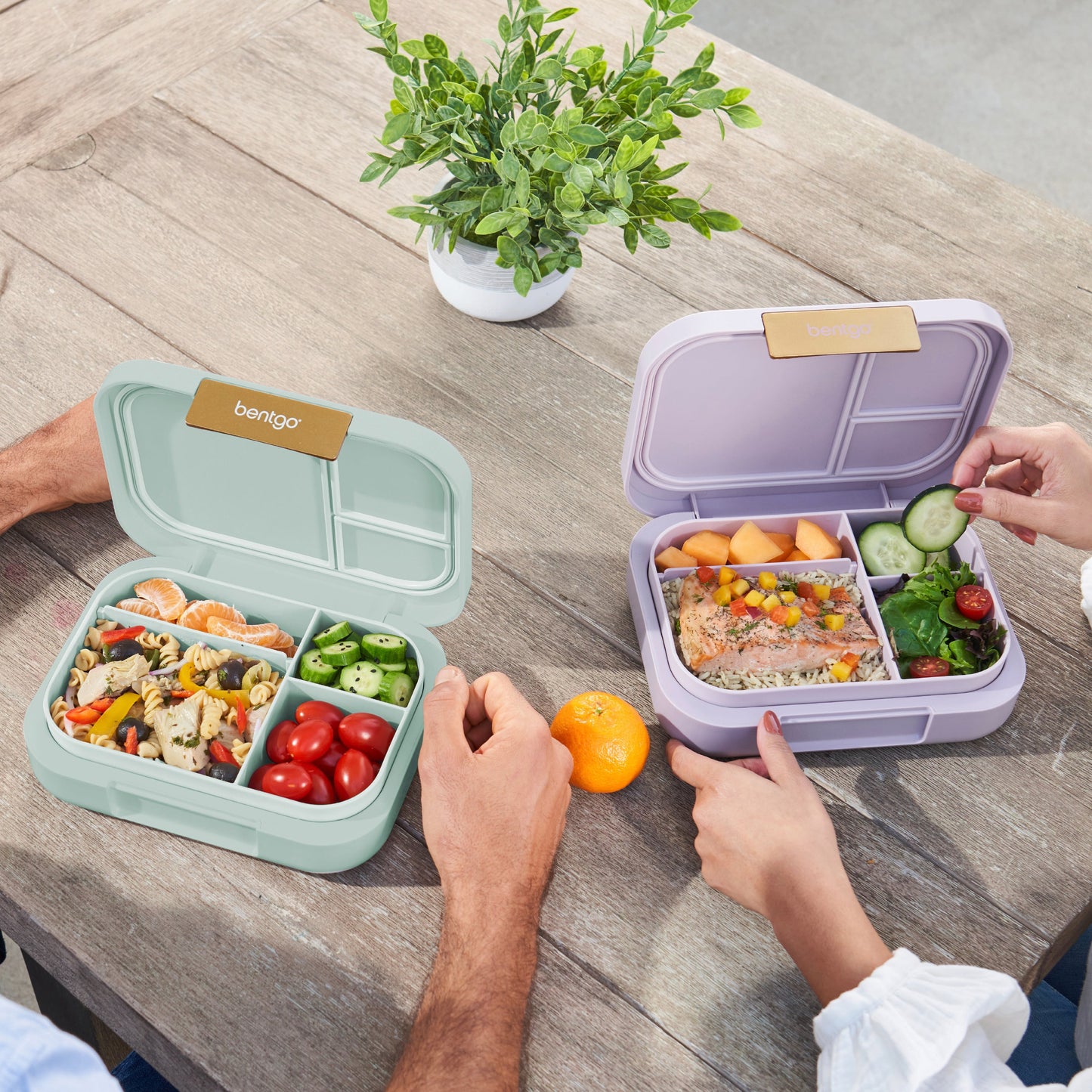 bentgo-modern-lunch-box-2-pack-j1 COSTCOBMCPRODUCTIMAGE_2.jpg